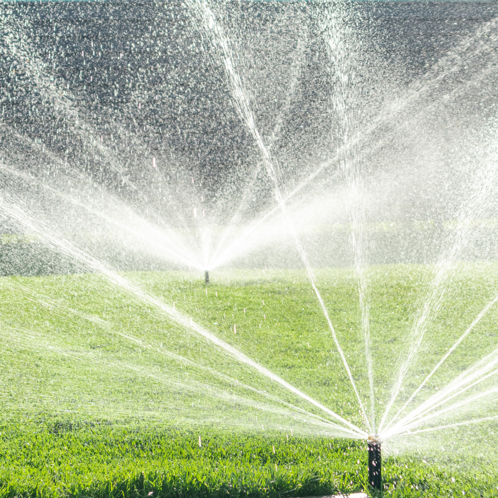 Lawn watering schedule Long Island